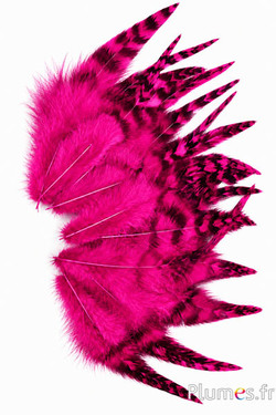 Haan chinchilla - 9-13 cm - fuchsia